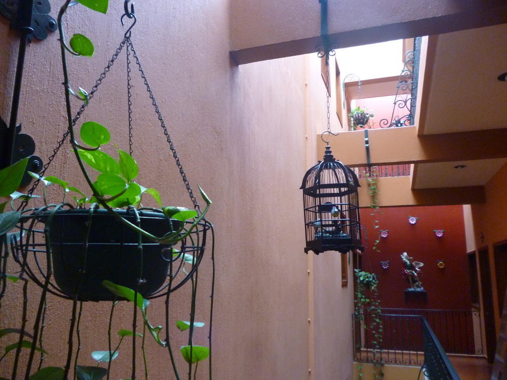 Hotel Boutique Parador San Miguel Oaxaca Екстериор снимка
